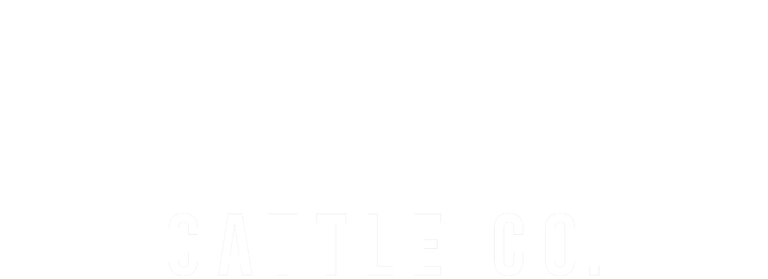 updated seneff logo words